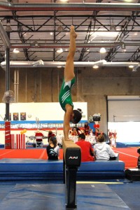 299713_1970645190127_935727718_n[1]